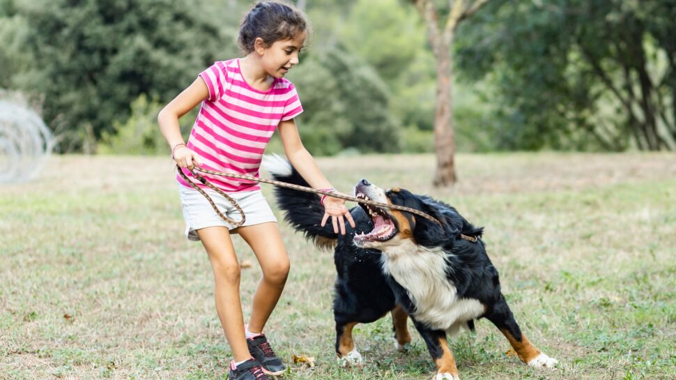 Morsure de chien : symptômes, conduite à tenir pour éviter l'infection, que faire ?