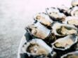 Après le bassin d'Arcachon, les huîtres de Normandie également interdites à la vente