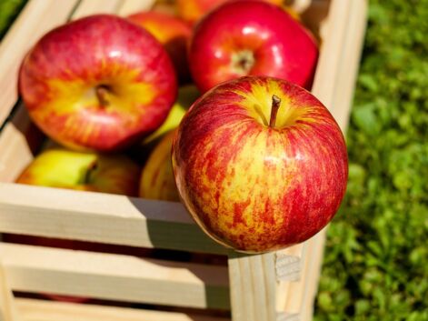 Pommes : les recettes d'automne faciles et peu caloriques