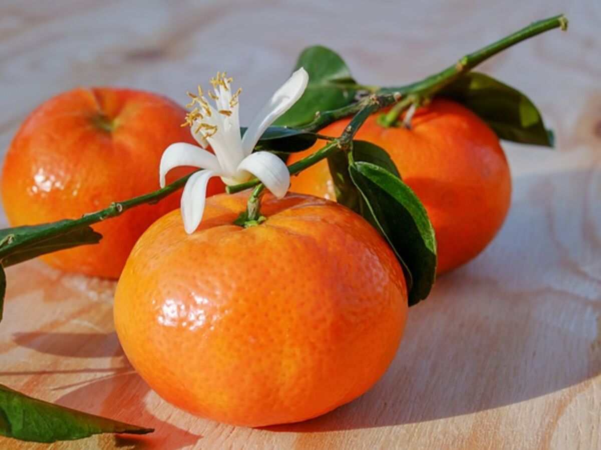 fruit orange avec des feuilles