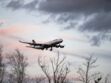 Un avion atterrit en urgence dans un jardin de Villejuif : mais que s'est-il passé ?