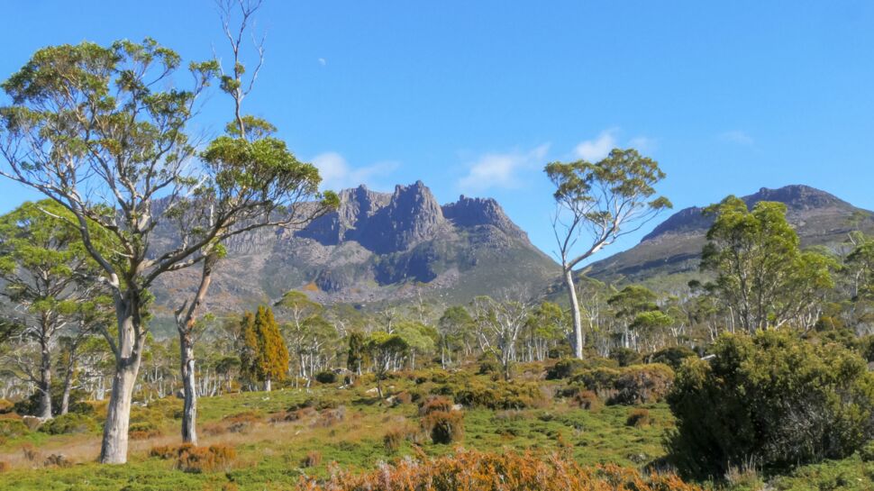 Tasmanie : une randonnée à travers les plus beaux paysages de l'Overland Track