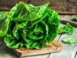 Bactérie E. coli : ce qu'il faudrait faire pour réduire le risque de contamination des salades vertes, selon des chercheurs