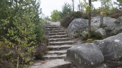 Disparition De Ling-Diane à Fontainebleau : Ce Que Dévoilent Les ...