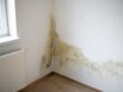 Humidité et moisissure dans un appartement : est-ce au propriétaire ou locataire de faire des travaux ?