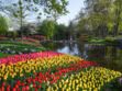 Pays-Bas : voici le meilleur moment pour visiter Keukenhof, le plus grand jardin de tulipes du monde 