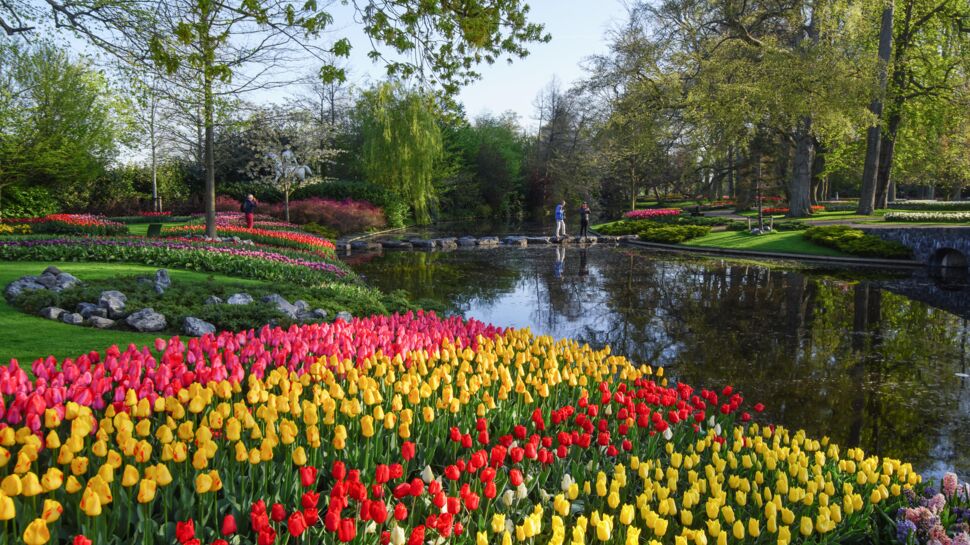 Pays-Bas : voici le meilleur moment pour visiter Keukenhof, le plus grand jardin de tulipes du monde 