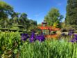 12 des plus beaux jardins de France à visiter au printemps 
