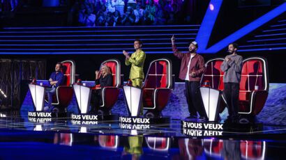 Lilian Renaud, Maëlle Pistoia, Lisandro Cuxi… Que sont devenus les anciens gagnants de "The Voice" ? - DIAPORAMA