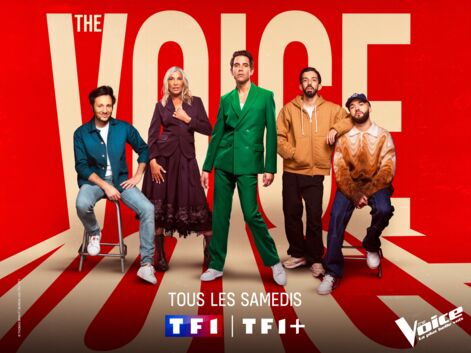 "The Voice" : que deviennent les anciens vainqueurs du concours de TF1 ?