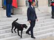 Emmanuel et Brigitte Macron : découvrez la photo de leurs nouveaux chiens, Jeanne et Jules, accompagnés de Nemo