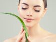 12 recettes de soins beauté aux plantes aromatiques pour prendre soin de sa peau et de ses cheveux naturellement