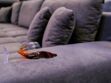 Nettoyer une tache de vin sur un canapé en tissu ou en cuir, les techniques efficaces