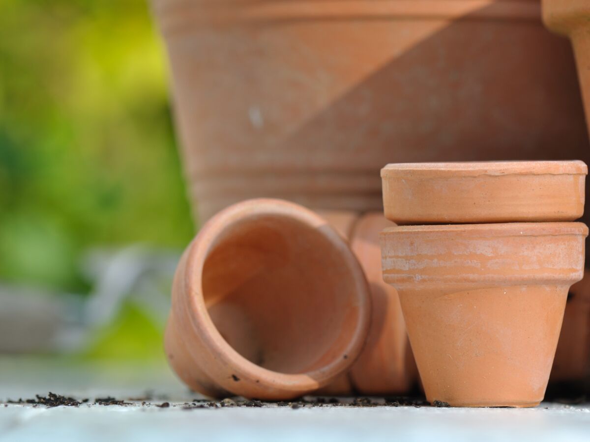 3 astuces pour nettoyer des pots de fleurs en terre cuite
