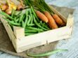 Comment cuisiner les légumes primeurs ? Les conseils d'un maraîcher