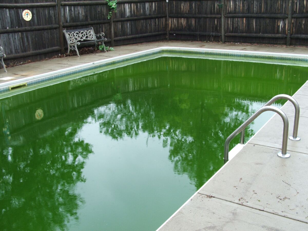 L'eau de ma piscine est verte, que faire pour la nettoyer ?