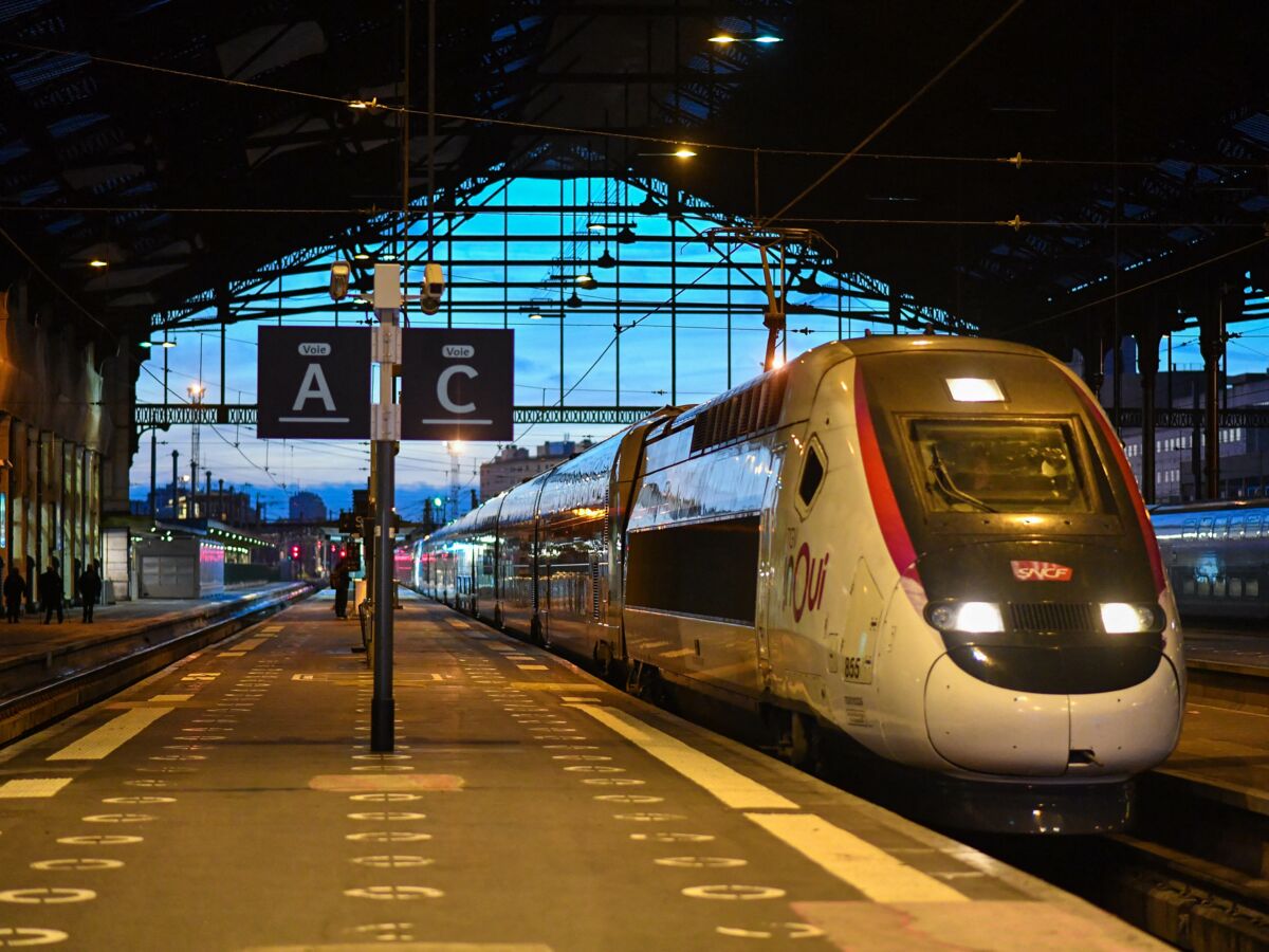 “La SNCF m’a abandonnée dans le train !” Une passagère en fauteuil roulant raconte sa mésaventure