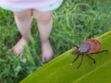 Maladie de Lyme : quels sont les bons réflexes à adopter si votre enfant a été mordu par une tique ?