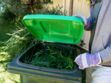 Poubelle : ce qu’on risque si on jette les déchets végétaux du jardin 