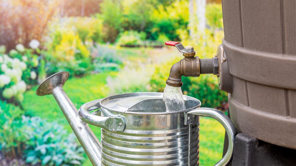 À quoi sert un récupérateur d’eau de pluie et comment bien le choisir ?