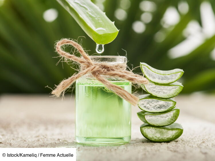 Aloe vera à boire : bienfaits santé et précautions : Femme Actuelle Le MAG