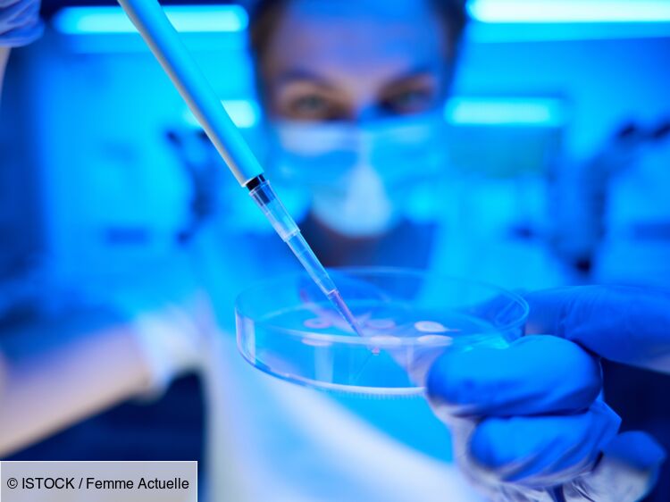 Congélation des ovocytes elles racontent leur expérience Femme Actuelle Le MAG