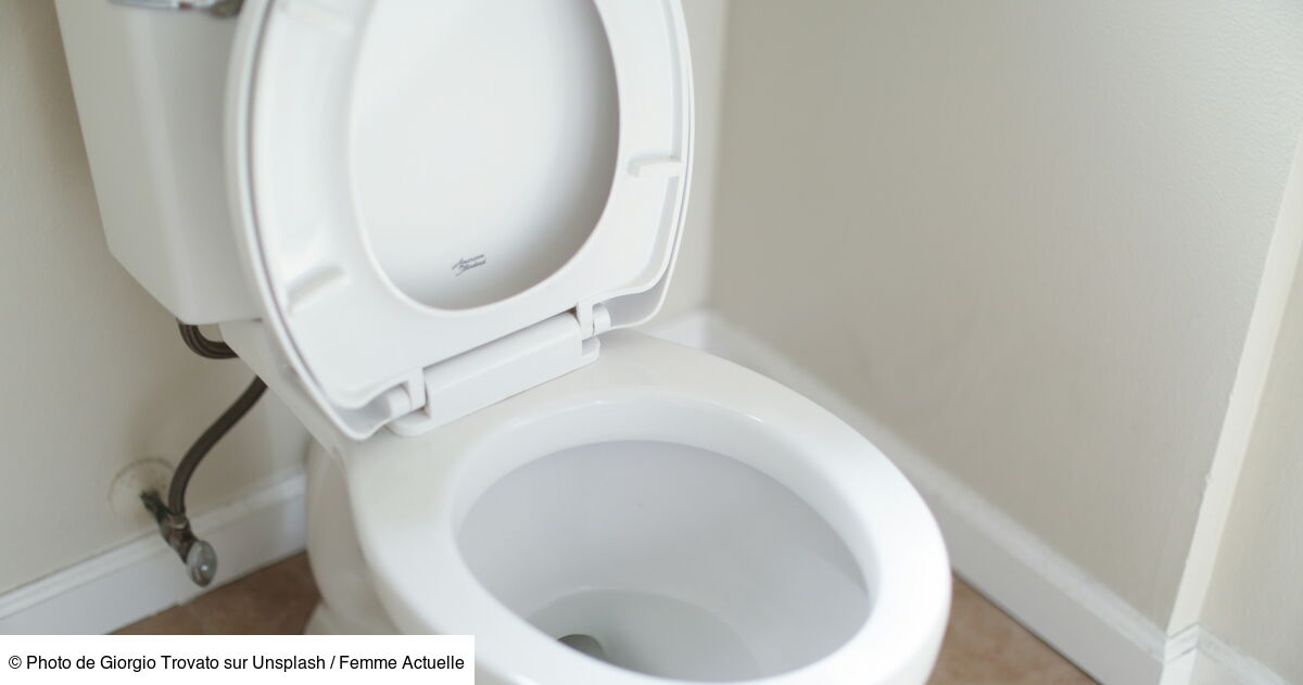 À quelle fréquence nettoyer ou changer la des toilettes — free download