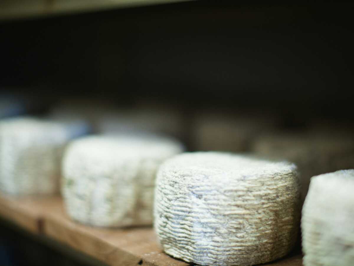 Rappel massif de fromage de chèvre à travers la France en raison d'une détection de la bactérie E-Coli