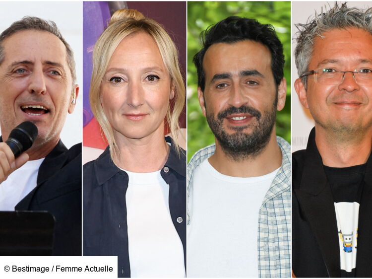 Gad Elmaleh, Audrey Lamy… Qui sont les voix françaises de “Moi, moche