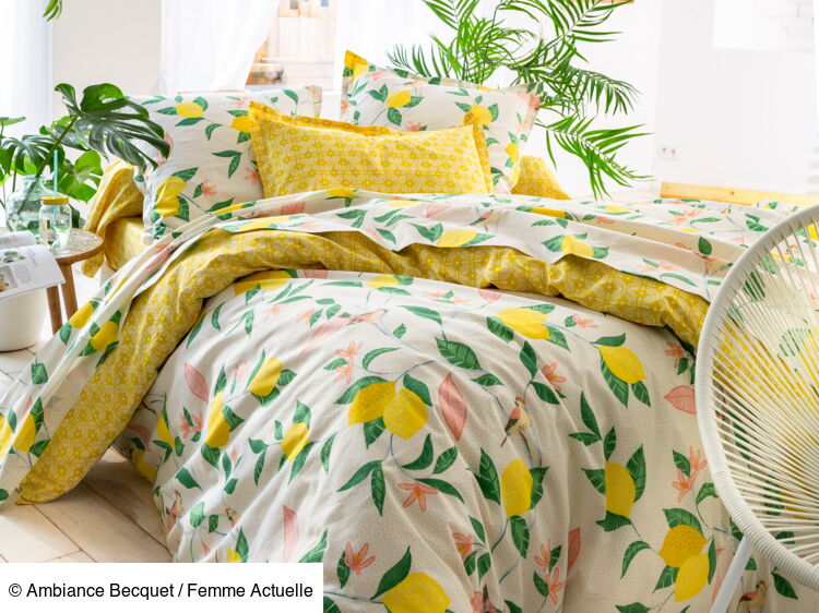 Déco méditerranéenne : comment intégrer le citron dans son intérieur ...