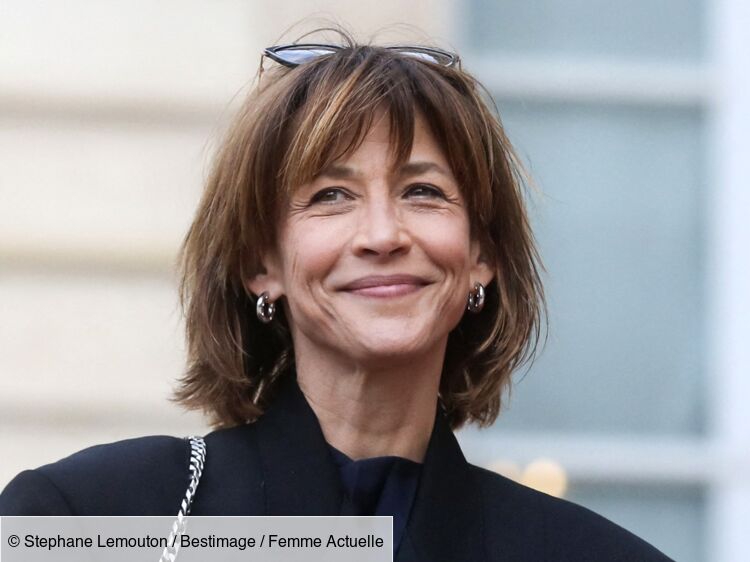 Angèle, Louane, Sophie Marceau... Les changements capillaires de stars les plus marquants de 2024