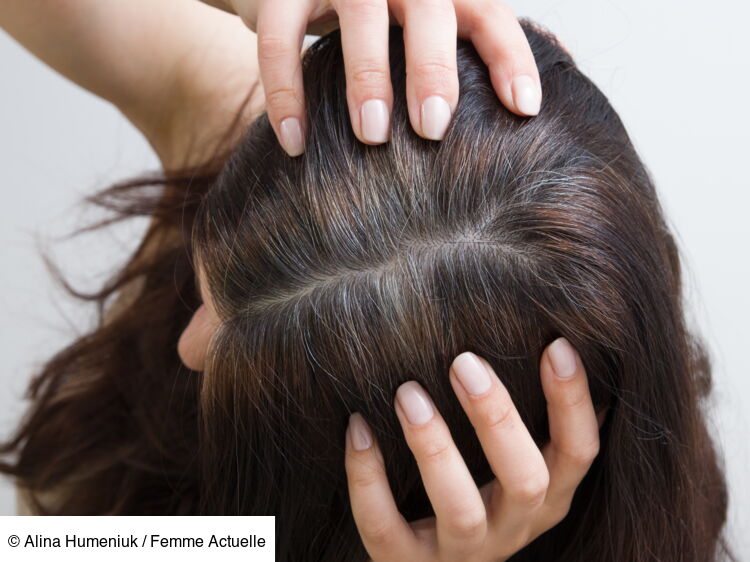 Comment camoufler ses premiers cheveux blancs sans faire de coloration — free download