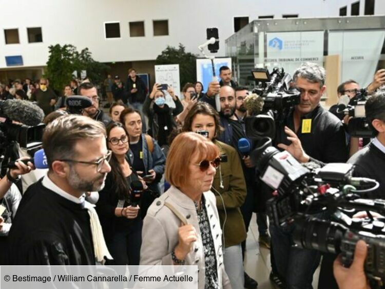 Procès des viols de Mazan : cette avocate qui avait fait polémique fermement sanctionnée