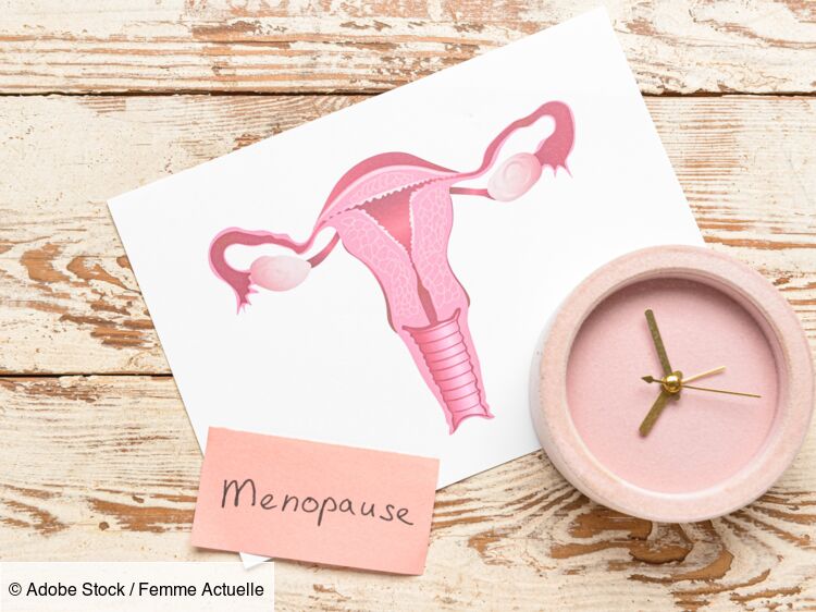 La ménopause précoce peut-elle être héréditaire ? L'éclairage d'une gynécologue