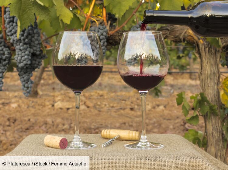 Des vins contaminés par ce polluant éternel – les bouteilles concernées ont été produites à partir de cette année-là