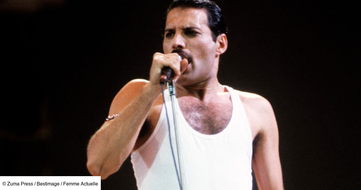 Selon une nouvelle biographie  paratre 33 ans aprs sa mort, Freddie ...