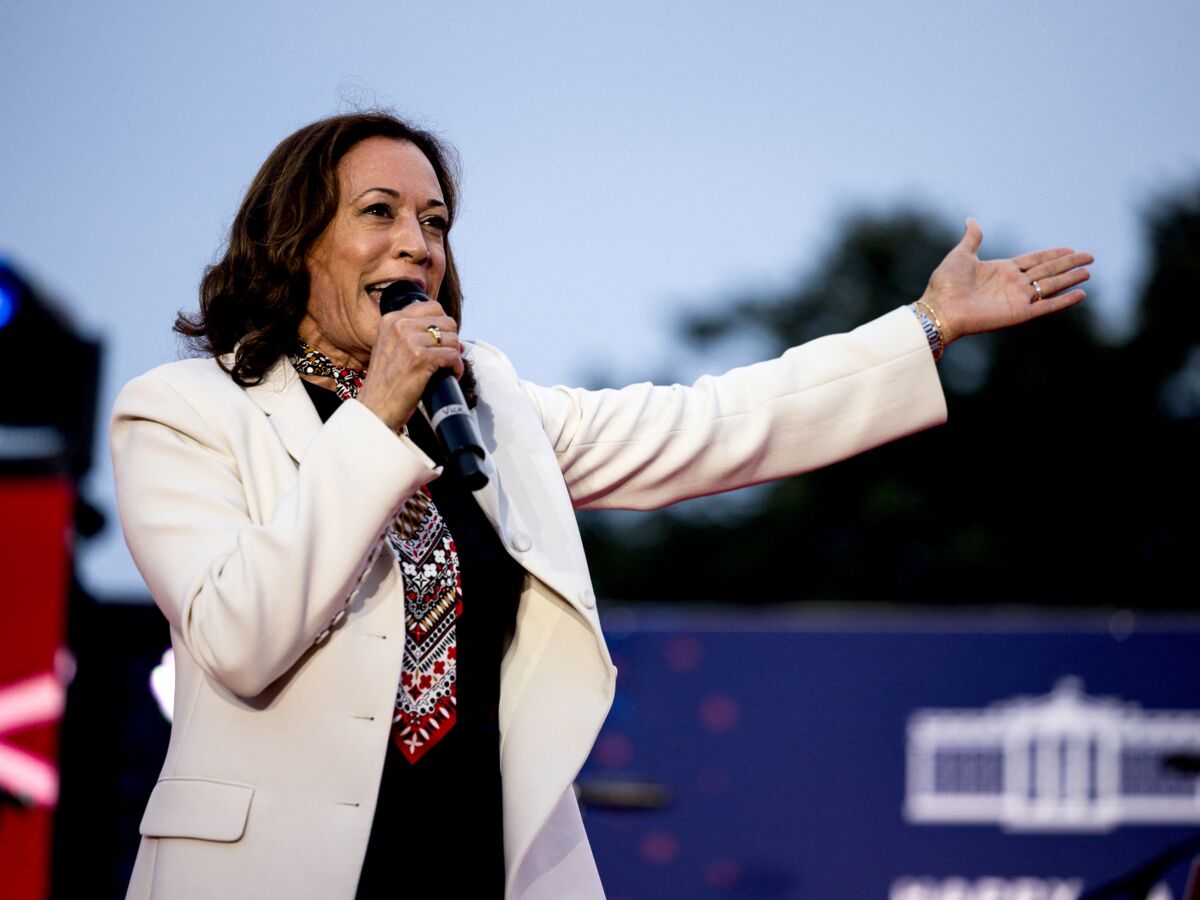 Qui est Kamala Harris, qui pourrait devenir la nouvelle candidate démocrate  à la présidence des États-Unis ? : Femme Actuelle Le MAG