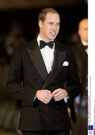 Le prince William, 2012