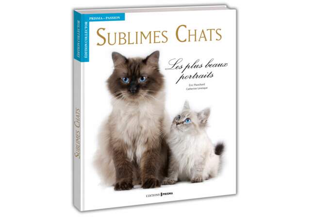 Le livre Sublimes Chats