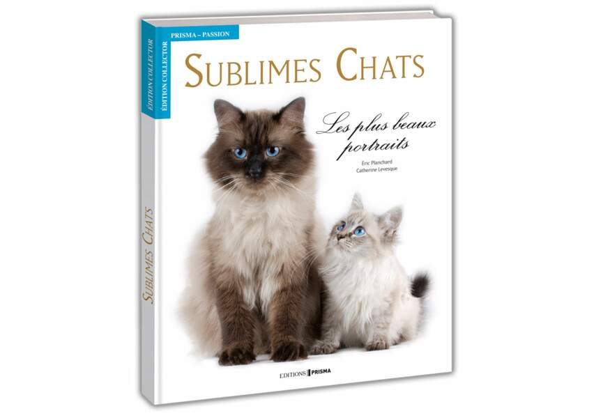 Le livre Sublimes Chats