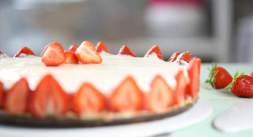  Cheesecake fraises-rhubarbe
