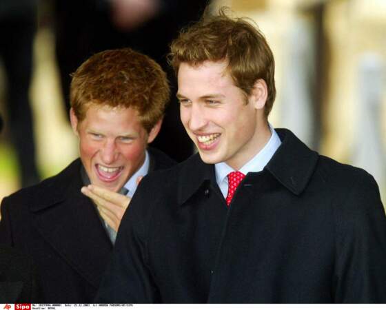 Le prince William et son frère Harry, 2003