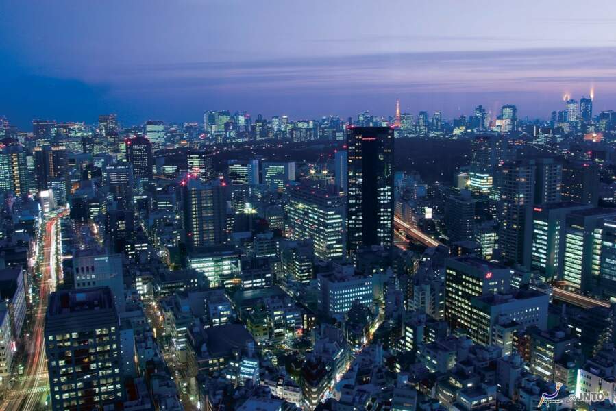 Vue de nuit de Tokyo