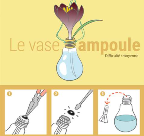 Le vase ampoule