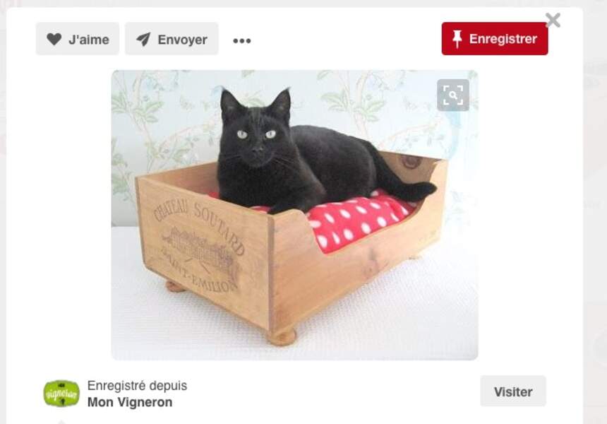 Un lit pour chat