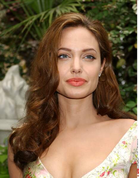 Angelina Jolie : 2004