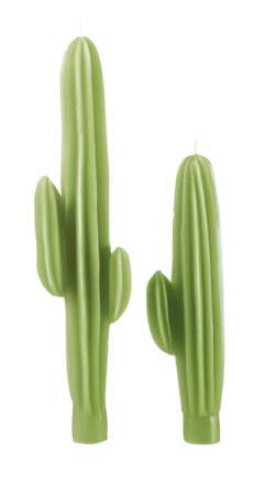 Bougies cactus
