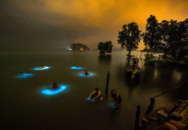 "Il y a quelque chose dans l'eau", Krabi, Thaïlande