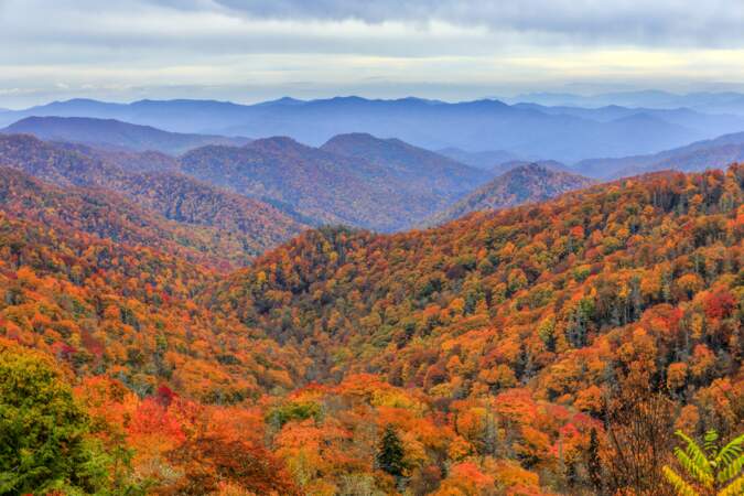 Les Great Smoky Mountains (USA), un parc national gratuit