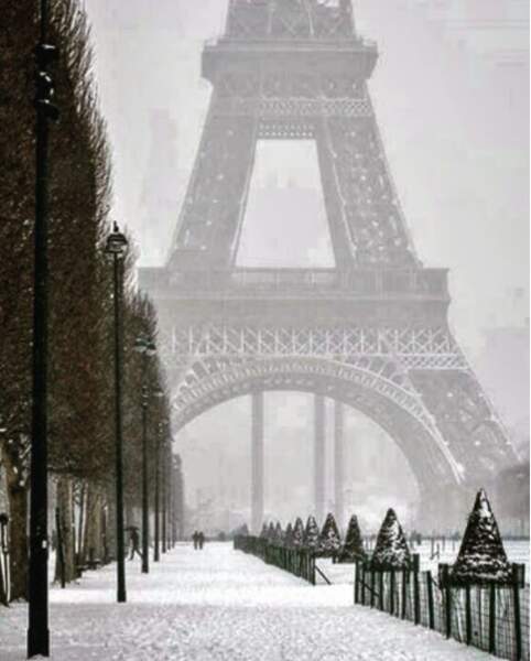 En raison des conditions climatiques, la Tour Eiffel était fermée au public ce mardi